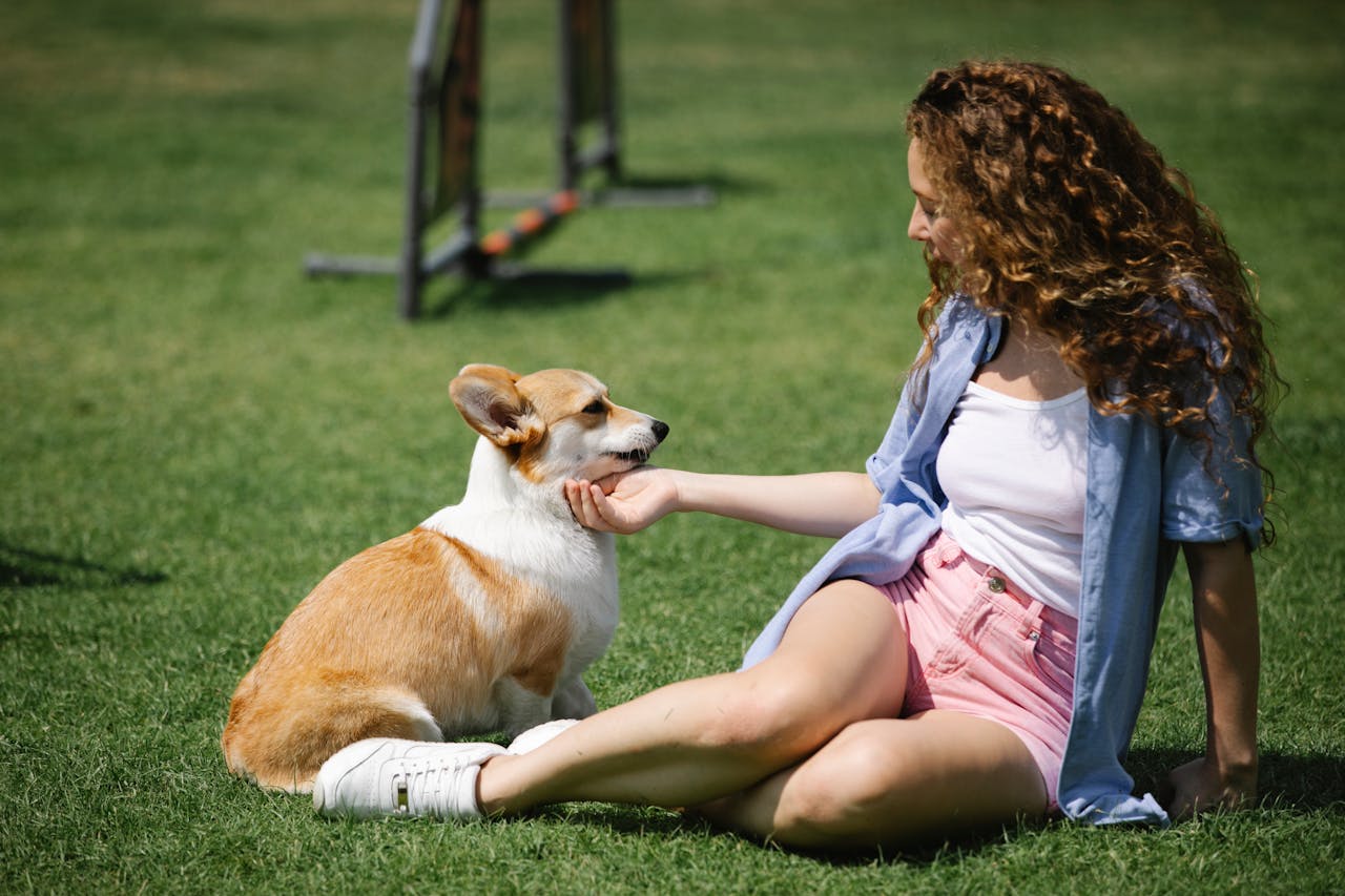 Young woman sitting on green grass with corgi